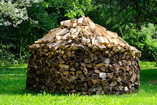 Why Your Firewood Never Seems Dry Enough