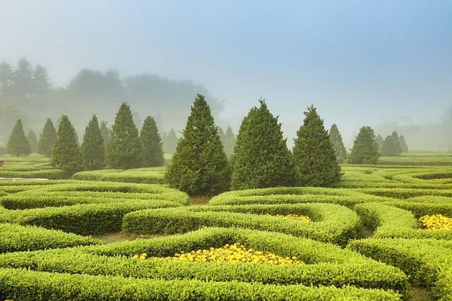 What I Actually Do to Get a Garden Ready for Each Season